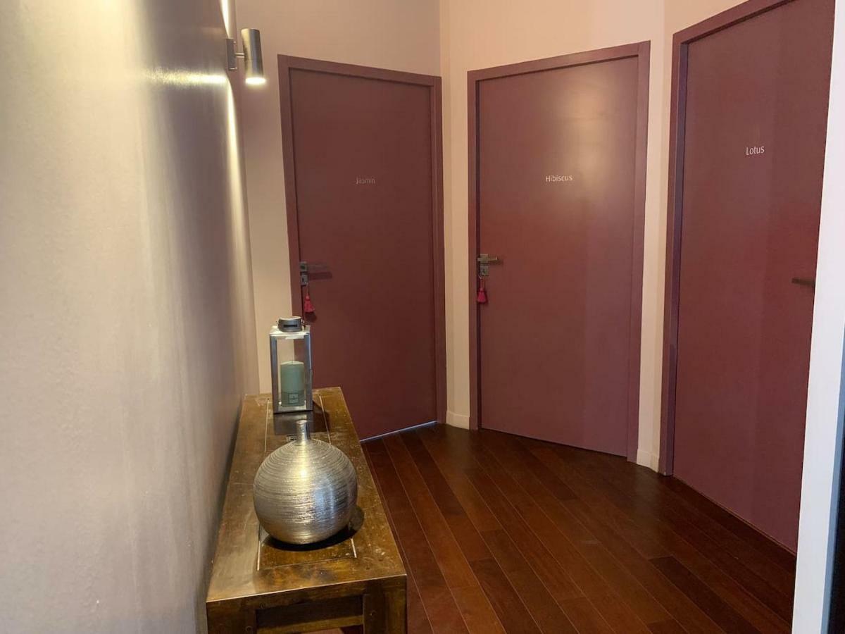 Beau T4 Hyper Centre Avec Parking Daire Perpignan Dış mekan fotoğraf